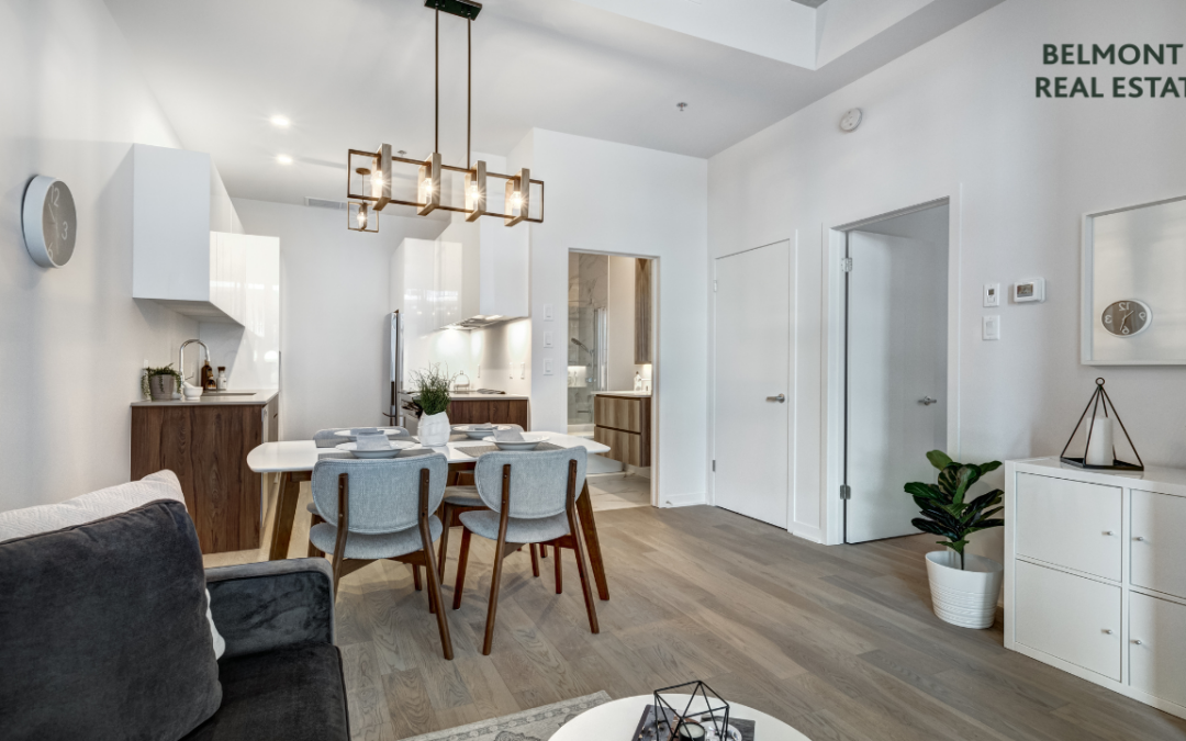 Property Management Kildare: A Practical Guide for Landlords