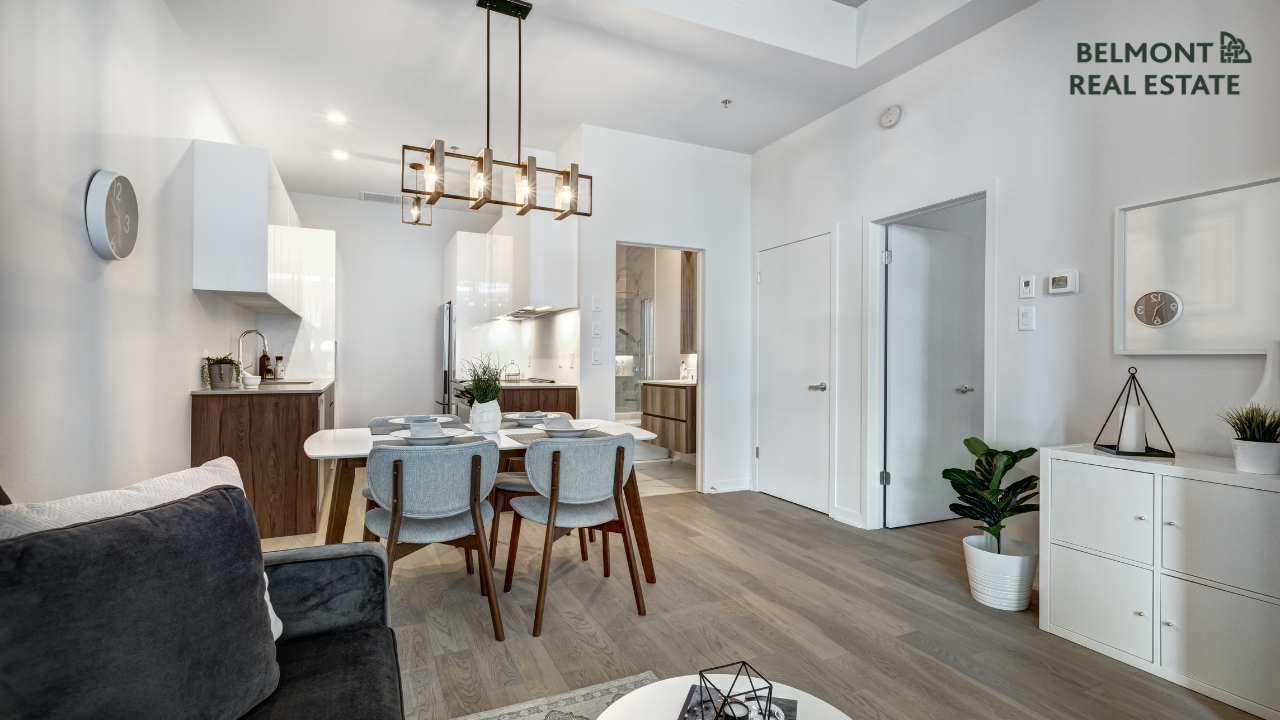 Belmont Real Estate Kildare and Dublin Property Management Kildare Belmont Real Estate Kildare and Dublin